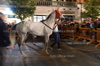 Immagine <b>REG_8123</b>